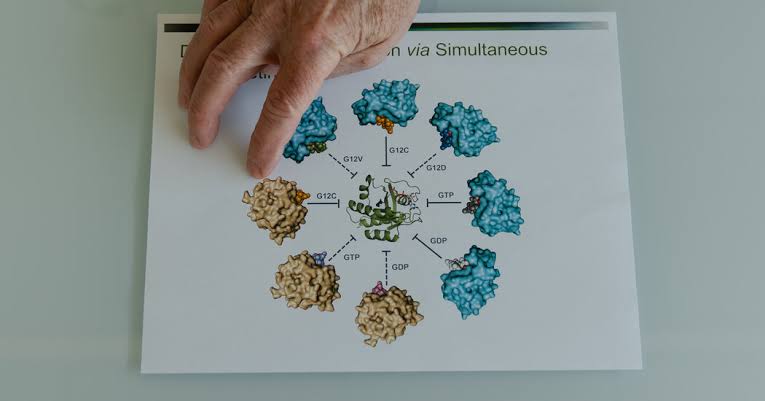 How an ‘Impossible’ Idea Led to a Pancreatic Cancer Breakthrough