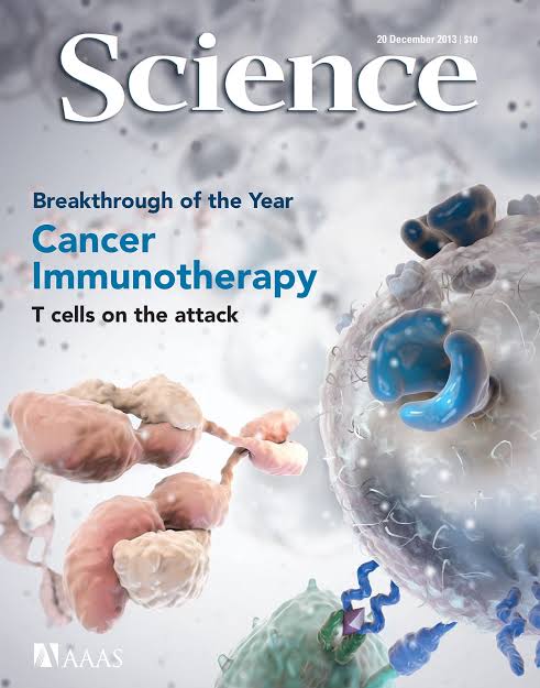The Remarkable Proliferation of Cancer Immunotherapies