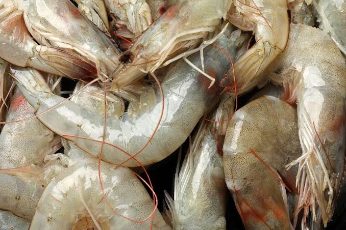 Mysterious Seafood Virus May Be Behind Emerging Eye Disease, Scientists Warn