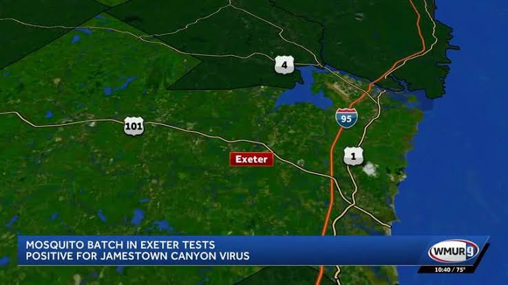 Jamestown Canyon virus detected in Exeter