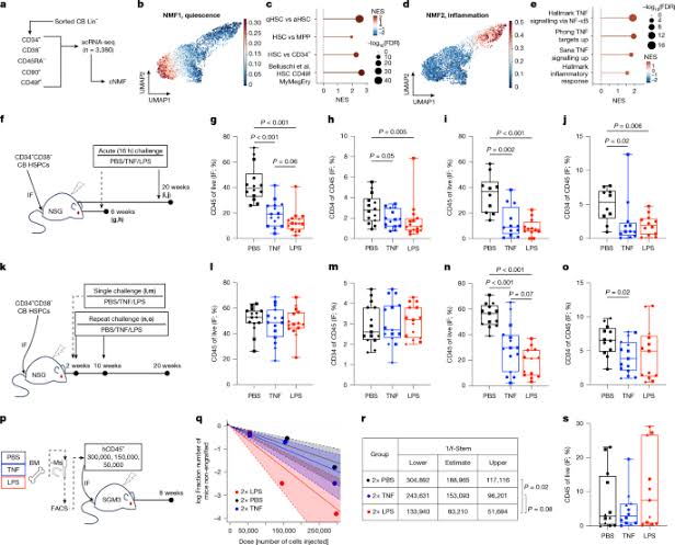 Human haematopoietic stem cells remember inflammatory stress