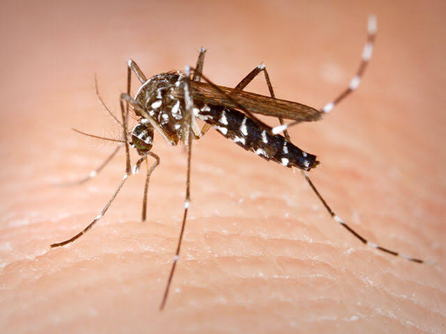 West Nile detected in Macoupin County