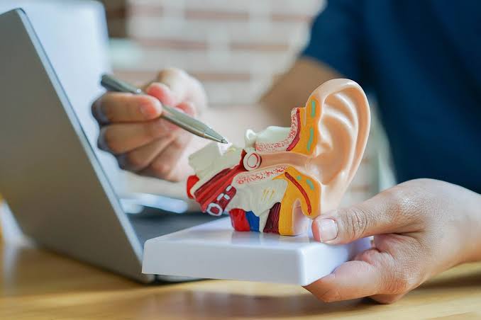 Dr. Kadie Nausha Shares Expert Advice on Hearing Health and Common Ear Conditions