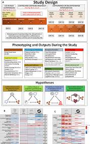 Habitual coffee intake shapes the gut microbiome and modifies host physiology and cognition