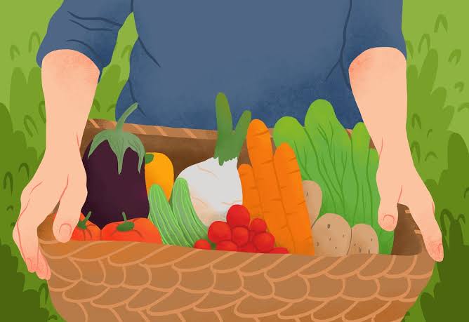 Dear Doctor: My wife says it’s dangerous to eat fruit and vegetables during the same meal