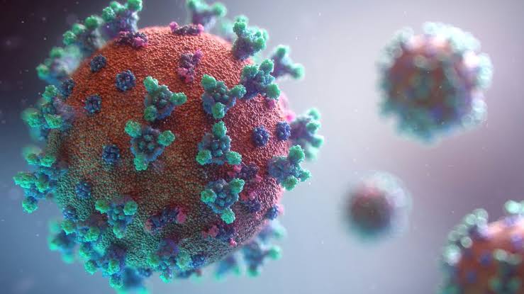 World Health Organization tracking new COVID variant, found in more than 20 states