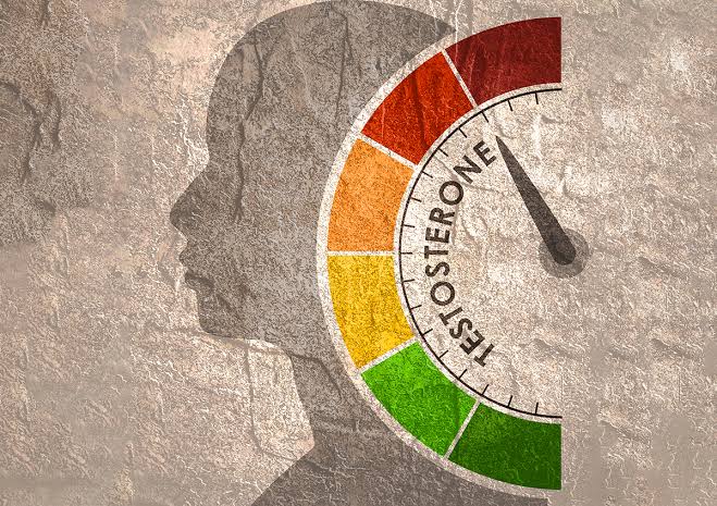The Impossible Strength of the Testosterone Myth