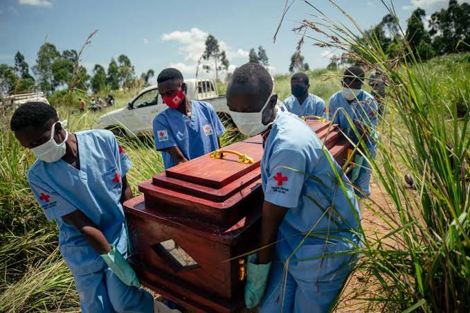 Ebola cases rise in Congo, as government revives travel restrictions