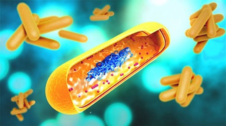 Johns Hopkins Team Develops Therapeutic, Nasally-Delivered DNA Vaccine for Tuberculosis