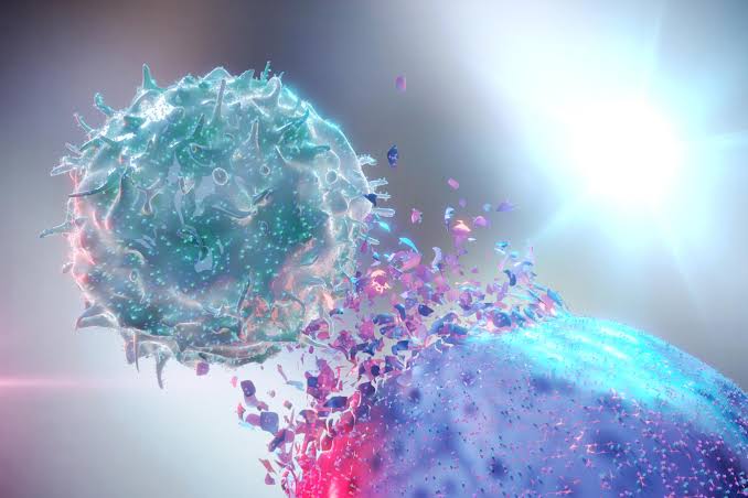 Can a Common Vitamin Fight the Most Aggressive Brain Cancer?