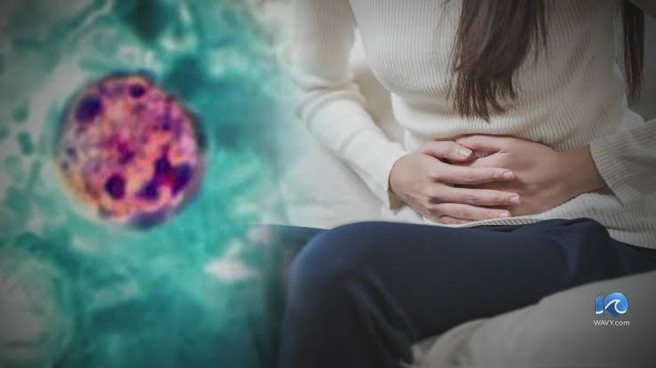 Cases rise of severe diarrhea parasite in Virginia