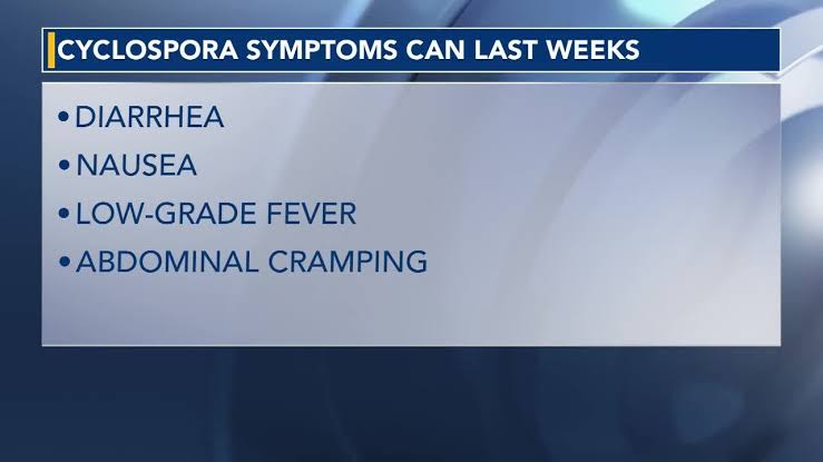Explosive diarrhea? Here's what to know about Cyclospora