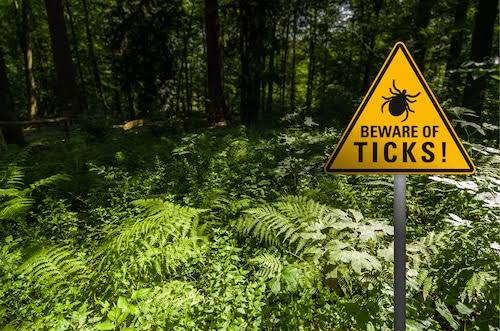 It’s shaping up to be a record tick season. Which ones do you need to worry about?