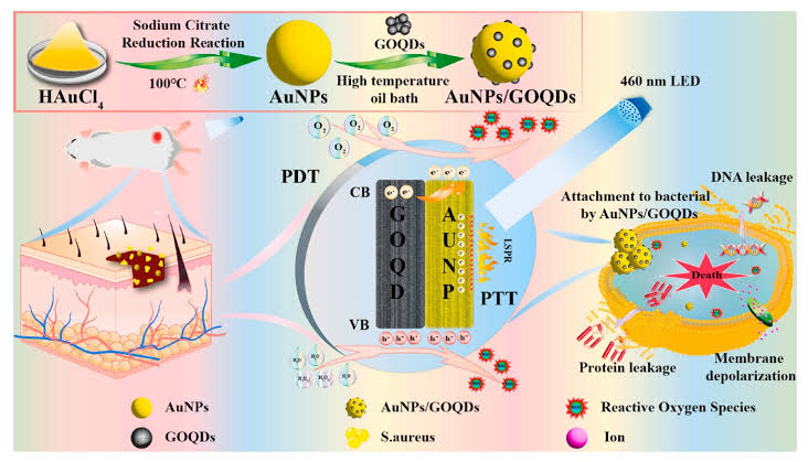 Shining blue light on gold-graphene nanodots achieves wound healing trifecta