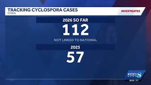 Cyclospora cases in Iowa nearly double compared to last year