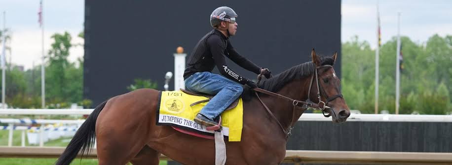 2026 Black-Eyed Susan Stakes picks, odds: Horse racing writer has best bets for Friday's race