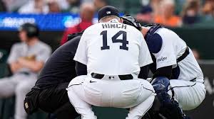Tigers' Dillon Dingler leaves game with apparent hand injury