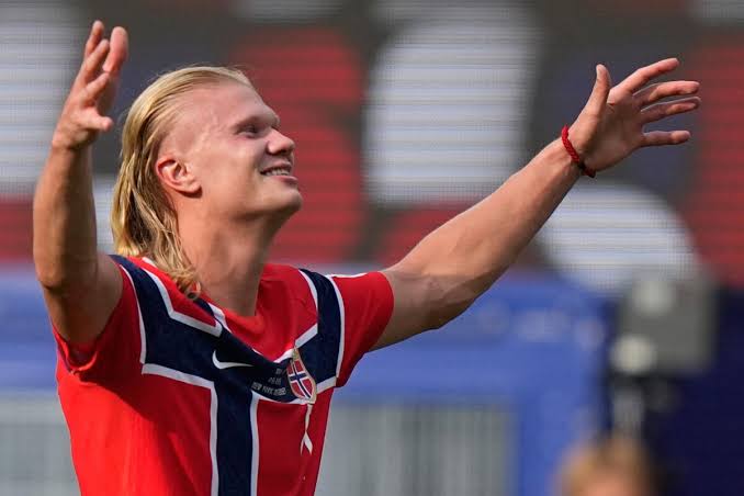 Norway's Erling Haaland left World Cup with 7 goals, taxidermy raccoon