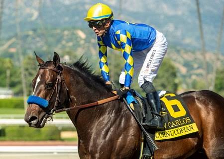 Cornucopian Euthanized Following Bing Crosby Injury