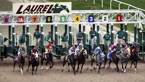 Preakness Stakes 2026 winner, results, payout: Napoleon Solo runs away down the stretch to win