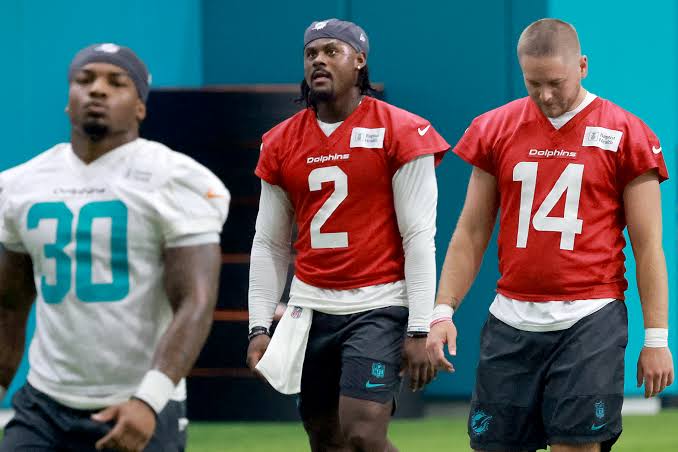 Dolphins camp: QB Malik Willis has rough day, plus stock up, stock down