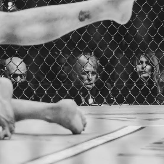 The Surreal Spectacle of Trump’s White House Cage Fights