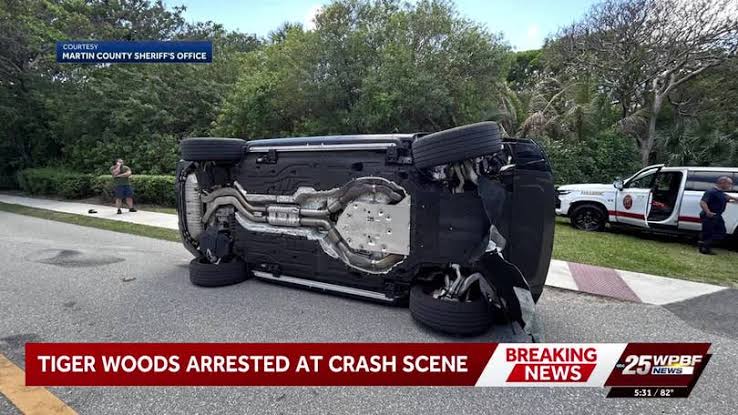 Tiger Woods mug shot released after DUI crash on Jupiter Island