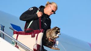 World Cup Daily live: Haaland returns to Norway with stuffed raccoon in tow