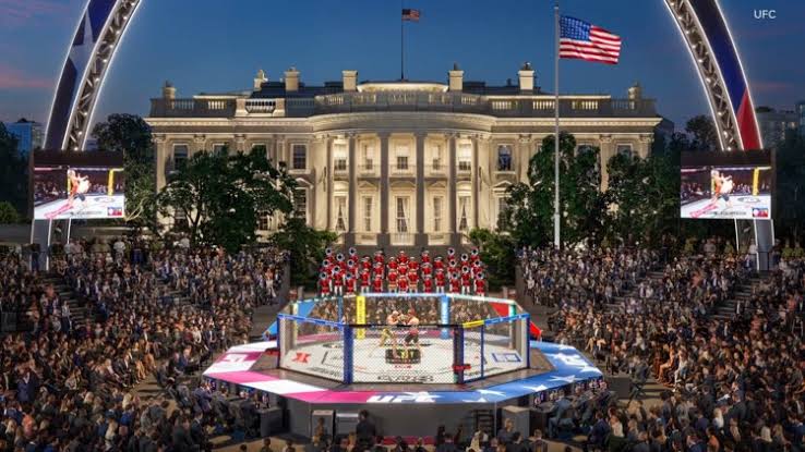 Here's how weather could impact the UFC Freedom 250 Fight on the White House lawn