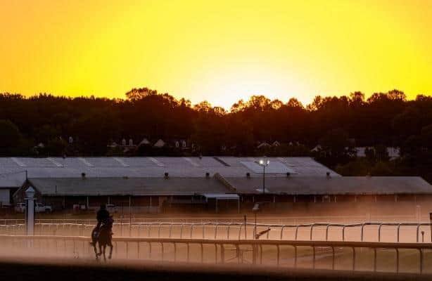 Expert picks: See how HRN writers play Preakness 2026