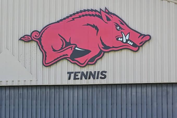 Arkansas tennis programs reinstated weeks after they were eliminated