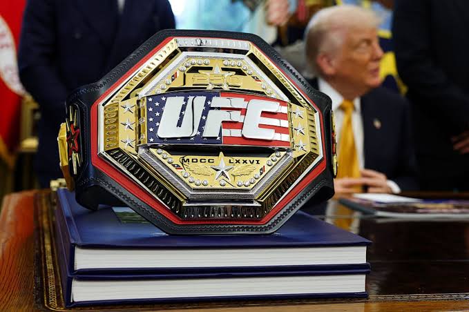 UFC Freedom 250 Livestream: Here's Where to Watch the Topuria vs. Gaethje Title Fight Online for Free