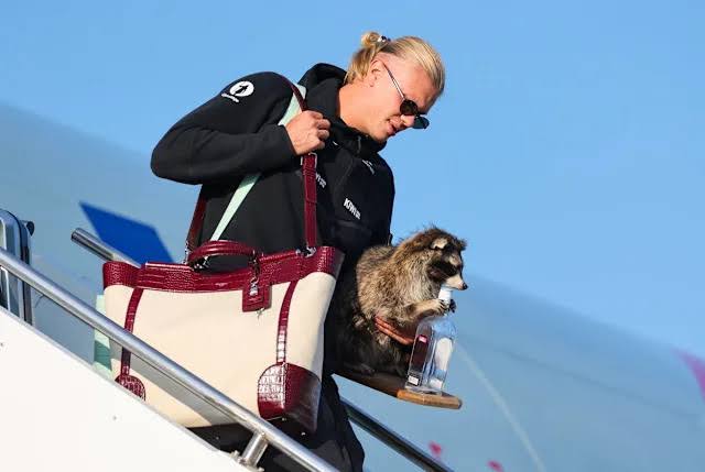 Norway star Erling Haaland returns from World Cup with a bizarre souvenir