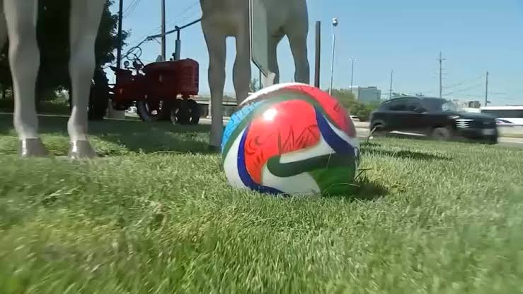 770 World Cup tickets to be given away free to New Jersey residents, Gov. Sherrill announces