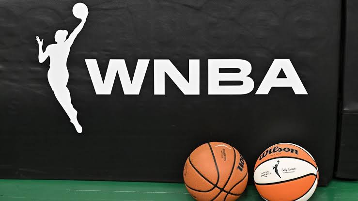 Storm co-owner can't attend 5 home games after fan confrontation