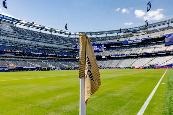 FIFA wants to sell you a $3,000 patch of grass from the World Cup final. NJ wants a cut.