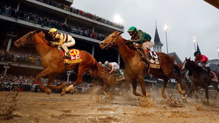 On Derby Day, Think About Horses, Not Just Hats