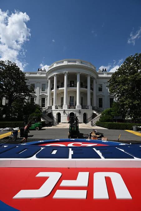 How to Watch the U.F.C. 250 Freedom Fights at the White House