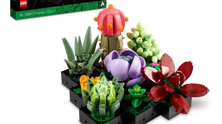 Walmart's LEGO Succulents Set Is 'Awesome’ for Plant Lovers and 50% Off During Its Summer Deals Event