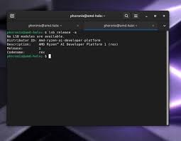 Ryzen AI Developer Platform: AMD's Own Linux Distribution Built Atop Debian