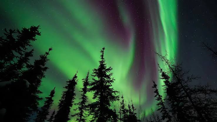 The Northern Lights Could Be Visible Across 9 States Tonight—See the Full List Here
