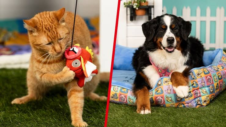 Gotta Fetch 'Em All! Your Pet Will Love Pokémon's Latest Merch Line