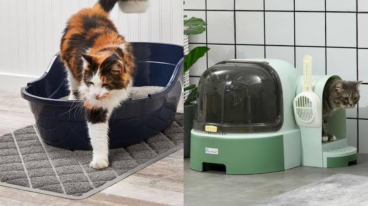 If Your Cat Tracks Litter Mess All Over The House, You Need These 9 Products, According To A Life-Long Cat Owner