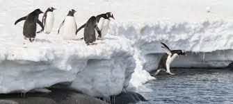 Torvalds challenged the haters to fork Linux. Someone said 'hold my beer'