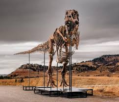 Tyrannosaurus for $30 million may be sold at auction, and scientists are raising the alarm