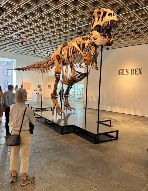 SD T-Rex could generate record price for dino fossil