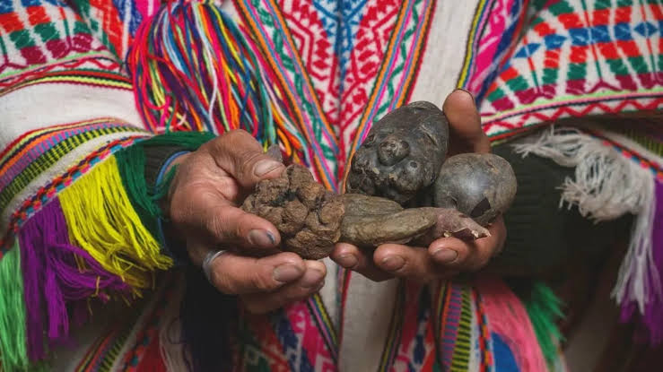 Humans in The Andes Have Evolved a Strange Digestive Superpower