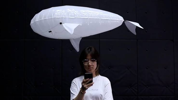 Meet the Floating Robot Companion Designed for Safe, Friendly Human Interaction