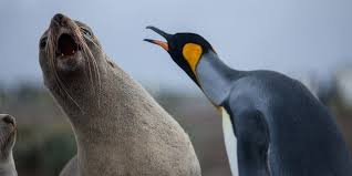 Linux cryptographic code flaw offers fast route to root