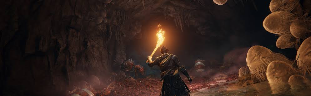 Elden Ring Tarnished Pack DLC will cost 4.99 Euros